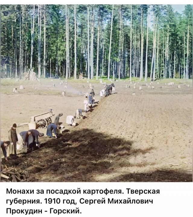 Про картошку