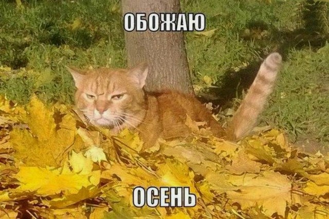 Небаянистая деградация 2