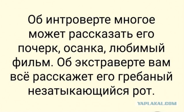 Картиночки, баянчики 08 декабря