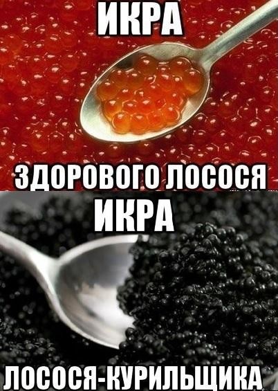 Кушайте правильную икру!