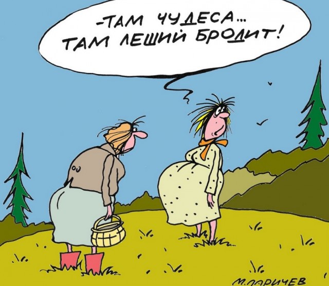Так себе картинки 25.01.26