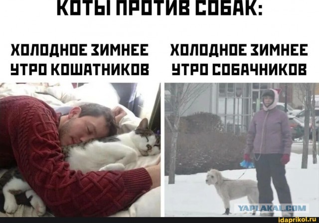Интересно,а у всех так?