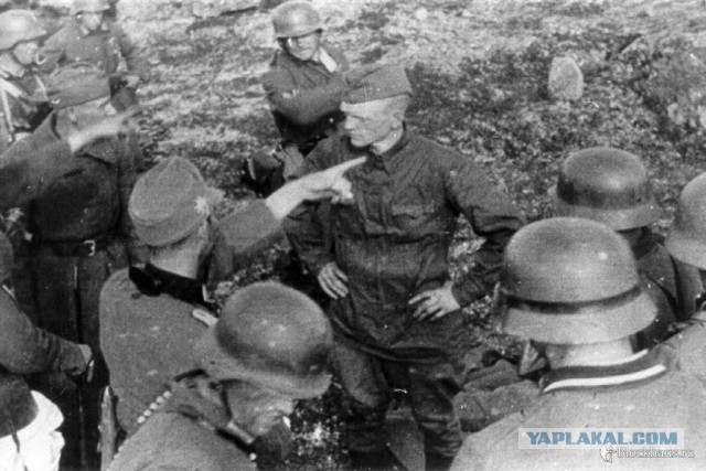 Трагедия обрела реальность!