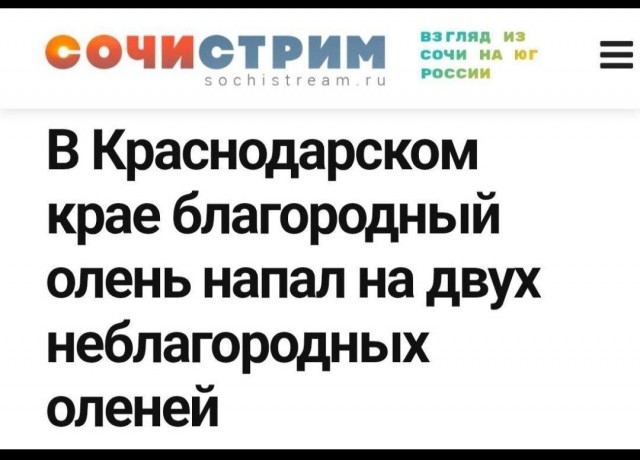 Картинки для деградации 239 (разной степени свежести)
