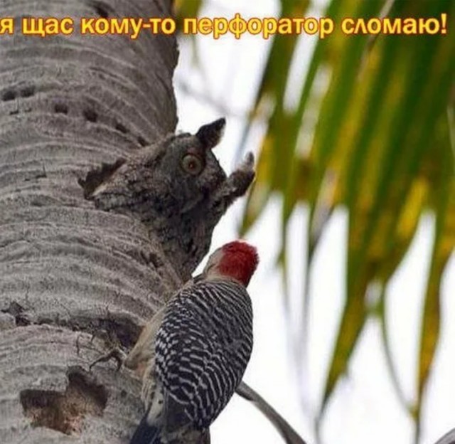 Мда уж....