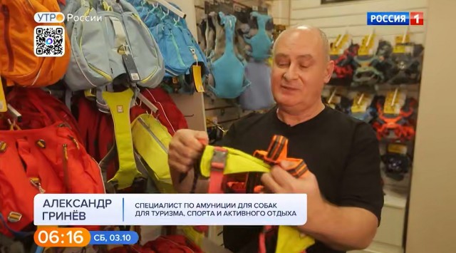 К теме "стыдно ли работать курьером" ?