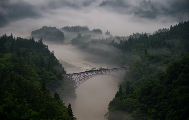 Фотоконкурс National Geographic Photo  2013