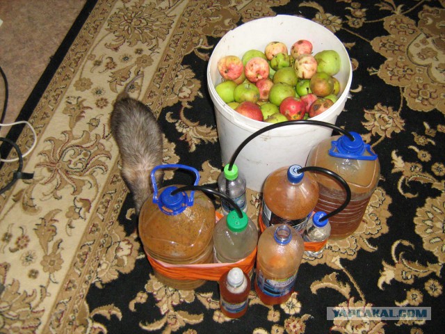 Ответ для Польши