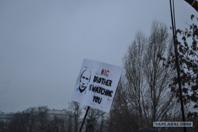 Мои фото с митинга на Болотной, прикольные лозунги