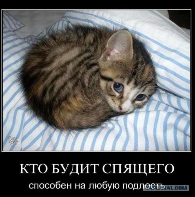 Веселые картинки