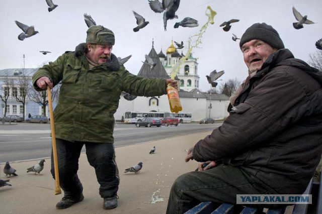 А работать пробовал?