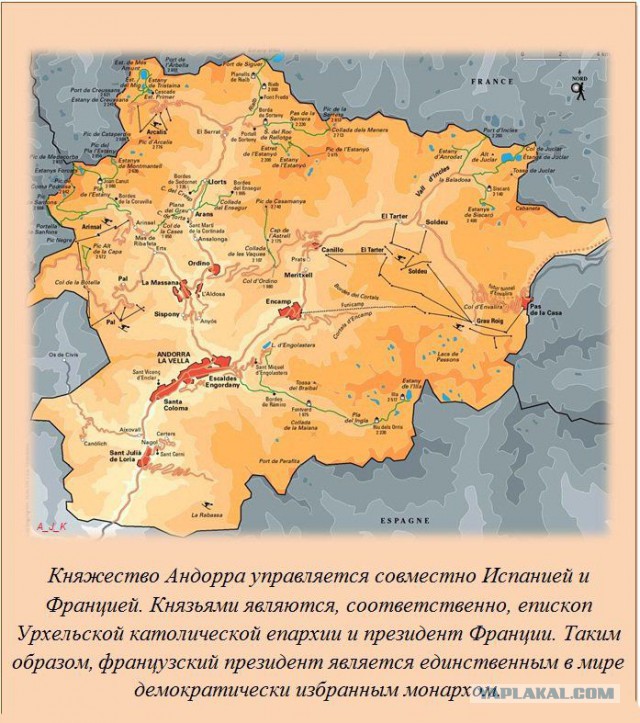 20 фактов обо всем