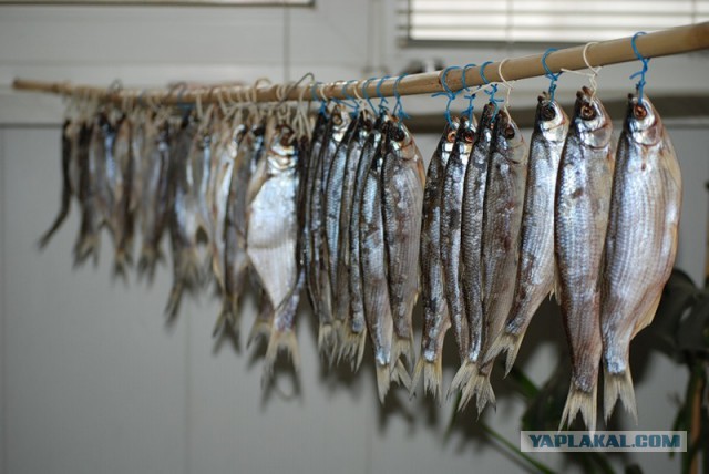 Какие продукты уникальны для Вашего региона?