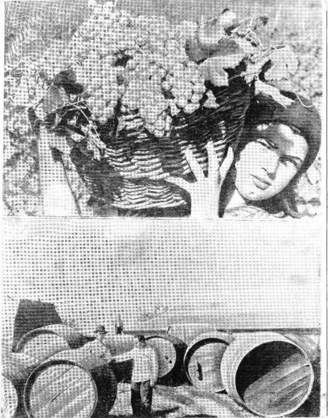 Журналы "Огонек", год 1945