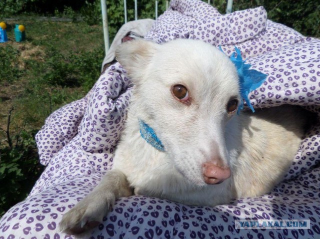 Милость этих фото зашкаливает