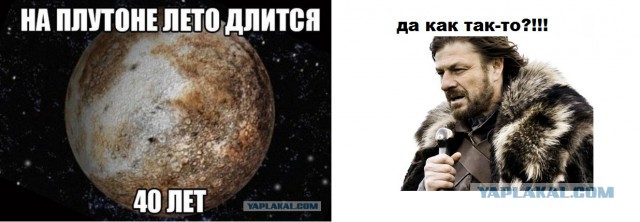 Прикольные картинки из сети