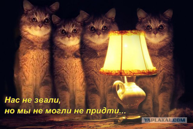Про драки
