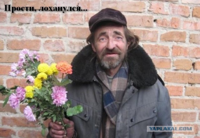 Новичок и старожилы ЯПа