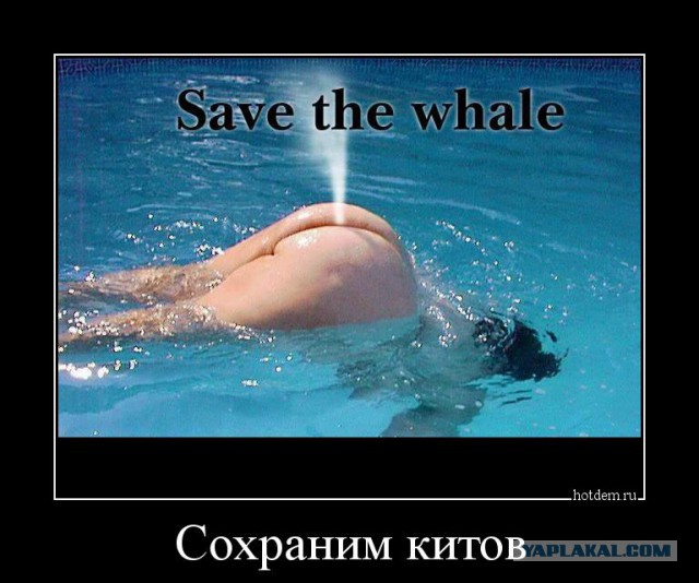 Подводная лодка чихнула