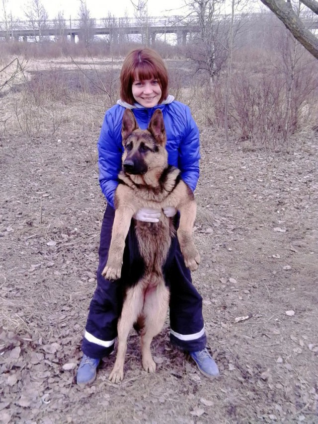 Измена кошатника