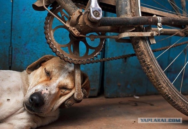 Удобная поза во время сна очень важна!