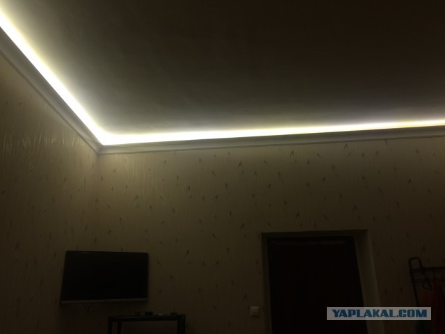 Крякнет ли серый гусь?