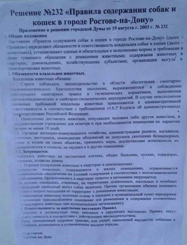 Краснодарцев обязали регистрировать котов и собак. Котику без паспорта теперь и погулять нельзя?