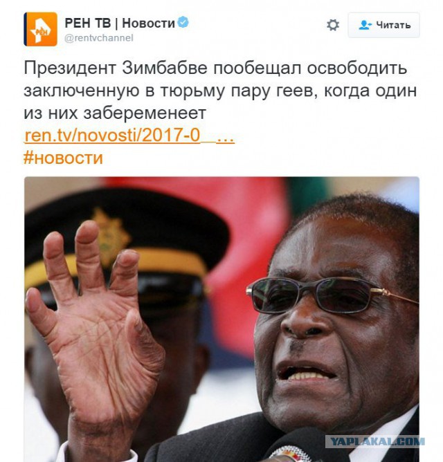 Всячина. Картинки и тексты картинками