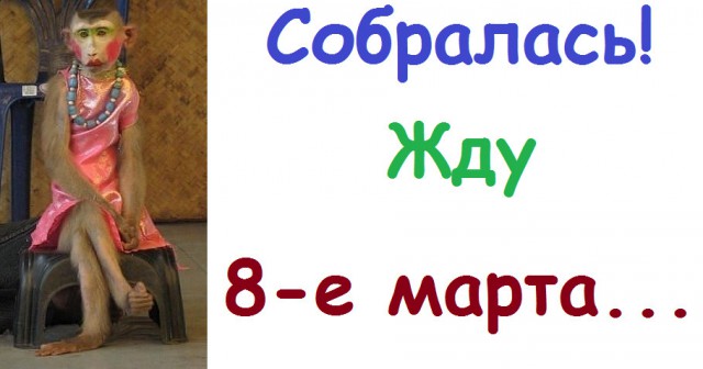 Подборка интересных и веселых картинок