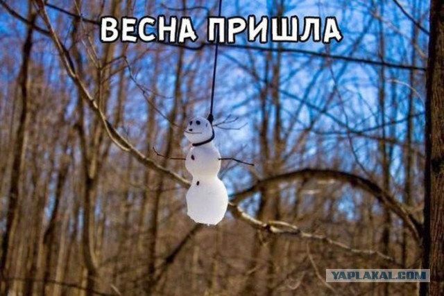 Картинки в черных рамках с подписями