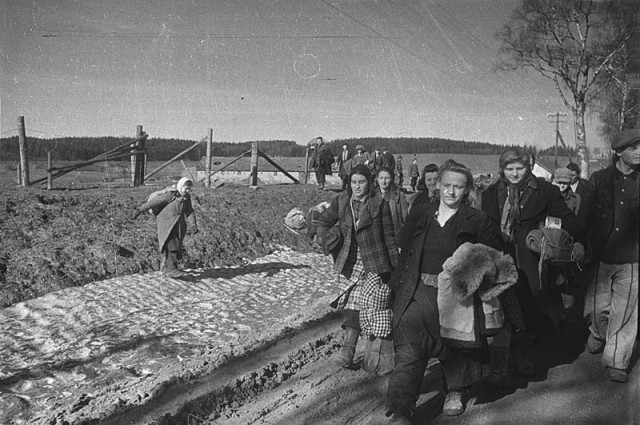 Берлинская операция. Апрель - май 1945 года.