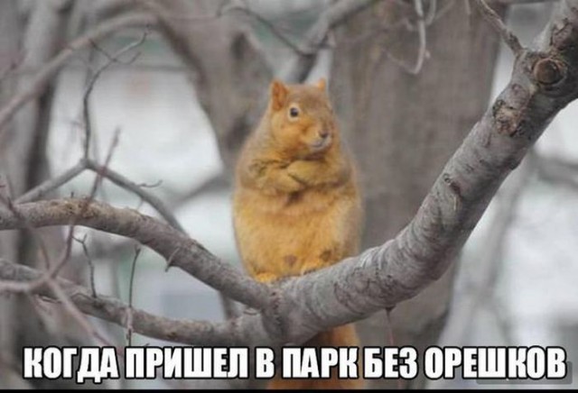 Картинки с просторов на пятницу