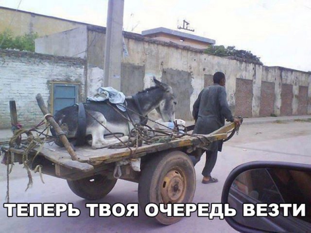 Смешные и не очень картинки из этих ваших интернетов