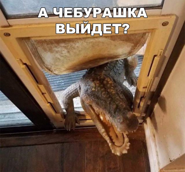 Как я обосралась на выпускном.