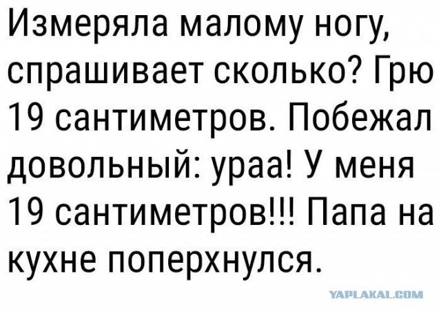 Подборка интересных и веселых картинок