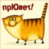 Итоги проверки пользователей