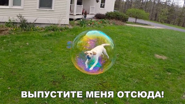 Нестандартный юмор