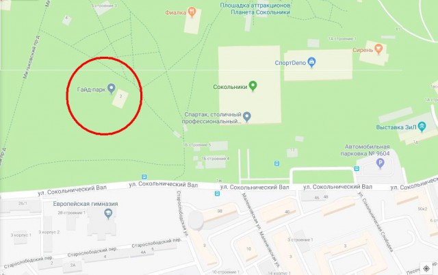 Митинг в "Сокольниках" против повышения пенсионного возраста