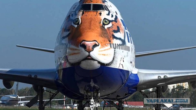 Carnival представила свой крупнейший круизный лайнер стоимостью более 700 млн евро