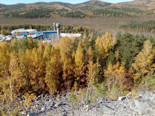 Осенняя тайга