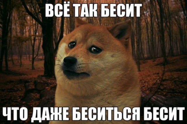 Покупатели, которые дико раздражают