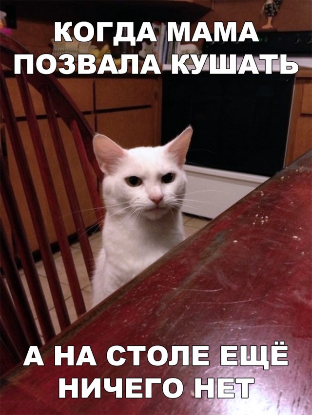 Прикольные картинки абавсём