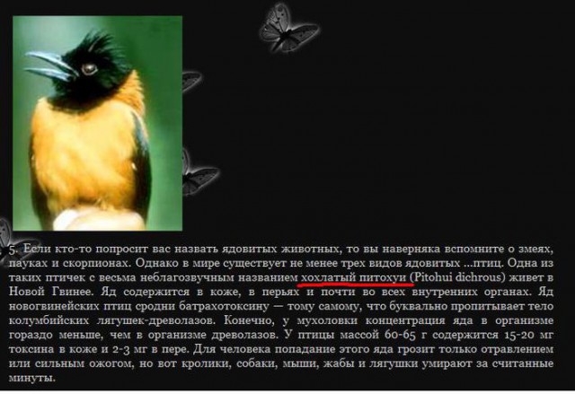 Интересные факты от National Geographic
