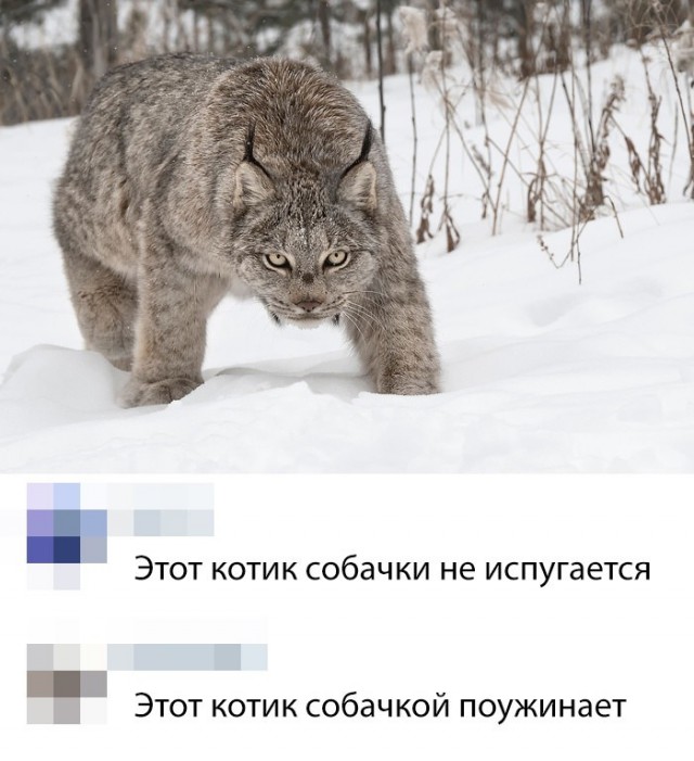 Немного картинок для настроения