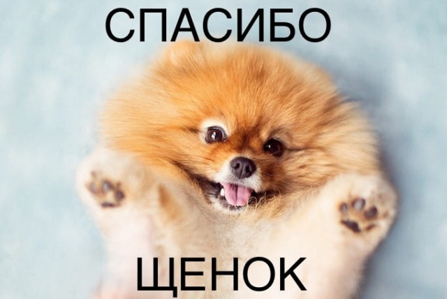 Интересные и редкие ретро-фотографии 12.01.20