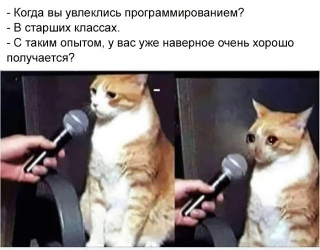 Немного картинок для настроения 28.04.20