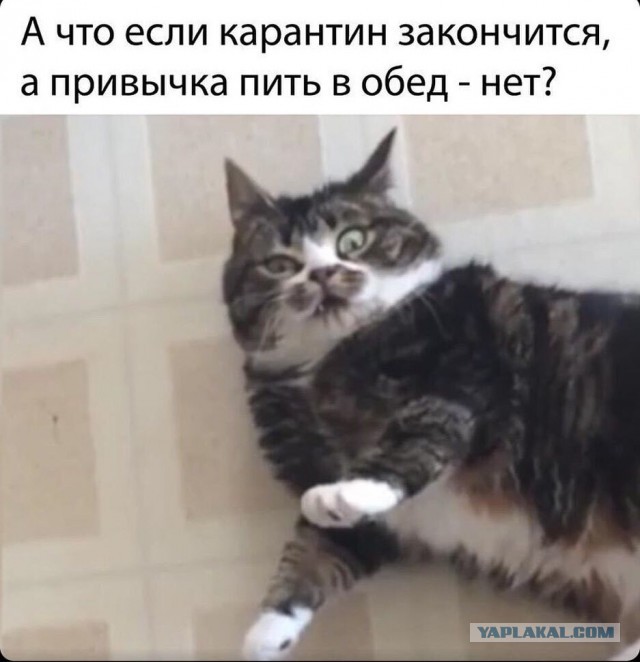 Дополнение к посту о "безотцовщин"  разведенок