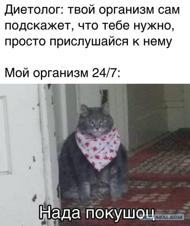 Немного картинок для настроения 04.08.20