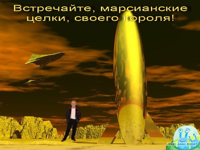 Анкета с сайта знакомств