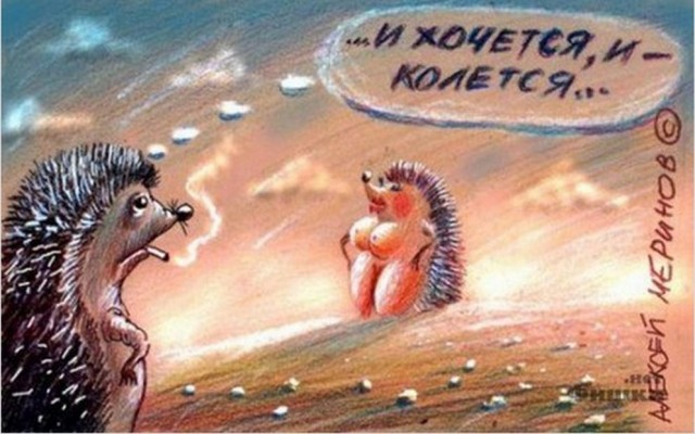 Я люблю вашего мужа